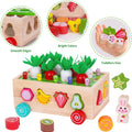 Toddlers Montessori Wooden Educational Toys for Boys Girls Age 1-3 Year Old