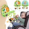 Double-Sided Car Seat Toy, Rear Facing Car Seat Toy, Travel Toy