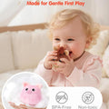 Montessori Baby Toys 6-12 Months Surprise Barn