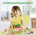 Montessori Wooden Toddler Toys for 1 2 3 Years Old Boys Girls
