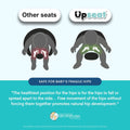 Baby Floor Seat Booster Chair for Sitting up with Removable Tray for Meals and Playtime, Developed with Physiotherapists for Safe and Healthy Hip Development and Posture, Made in Canada (Grey)