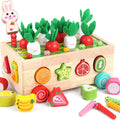 Toddlers Montessori Wooden Educational Toys for Boys Girls Age 1-3 Year Old