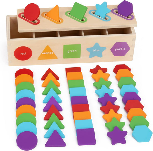 Montessori Toys for 1 2 3 Year Old, Color Sorting & Stacking Matching Toys