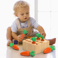 Montessori Carrot Harvest Game Wooden Toys for 1 2 3 Year Old Toddler Gifts