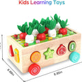 Toddlers Montessori Wooden Educational Toys for Boys Girls Age 1-3 Year Old