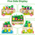 Montessori Wooden Toddler Toys for 1 2 3 Years Old Boys Girls