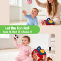Montessori Baby Toys 6-12 Months Surprise Barn